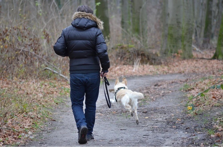 Personal Injury 101: When are Animal Owners Liable for Injuries Caused by Their Pets?
